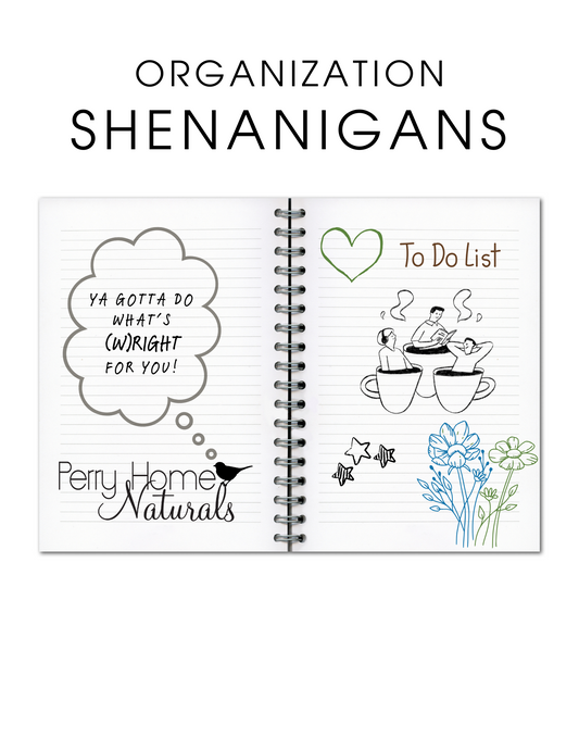 Organization Shenanigans with a Free To Do List PDF