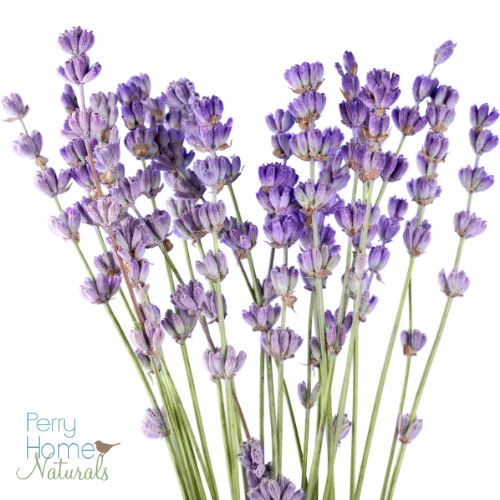 Lavender Sachet Set of Three - Tiny Purple Flowers Design