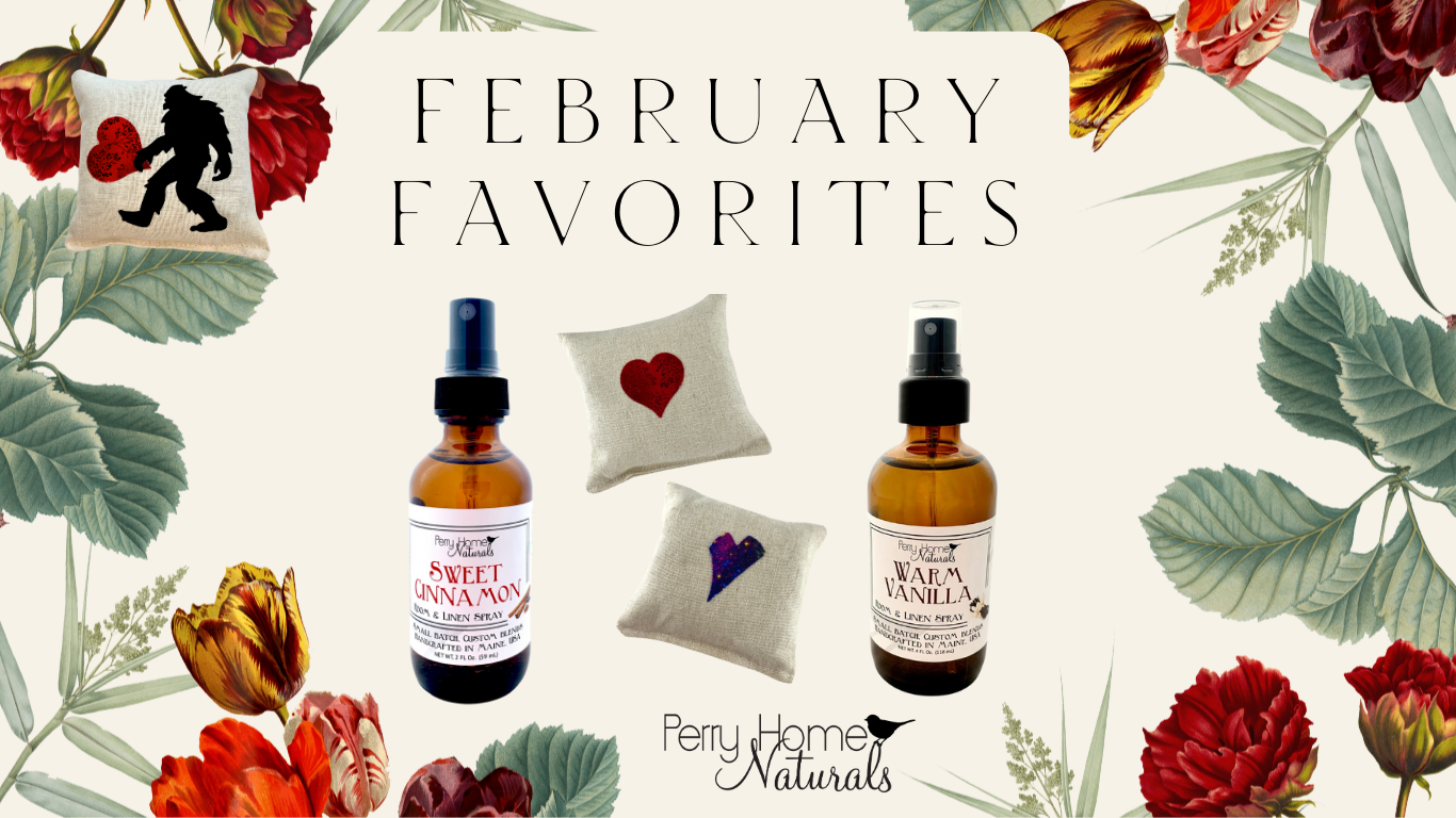 February Favorites ❤️