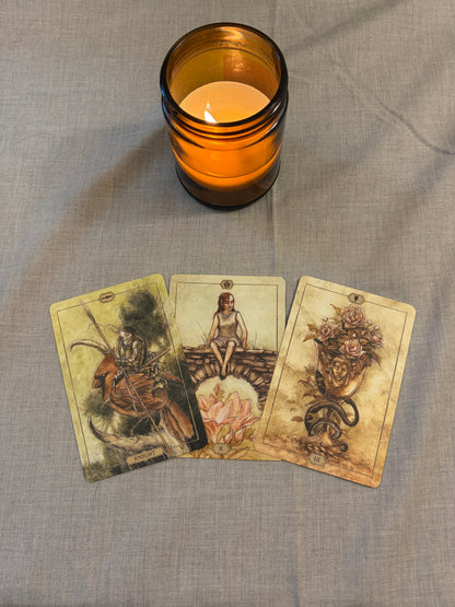 Tarot Sessions with Kim at The Raven Collections - Weds. December 16th, 2026